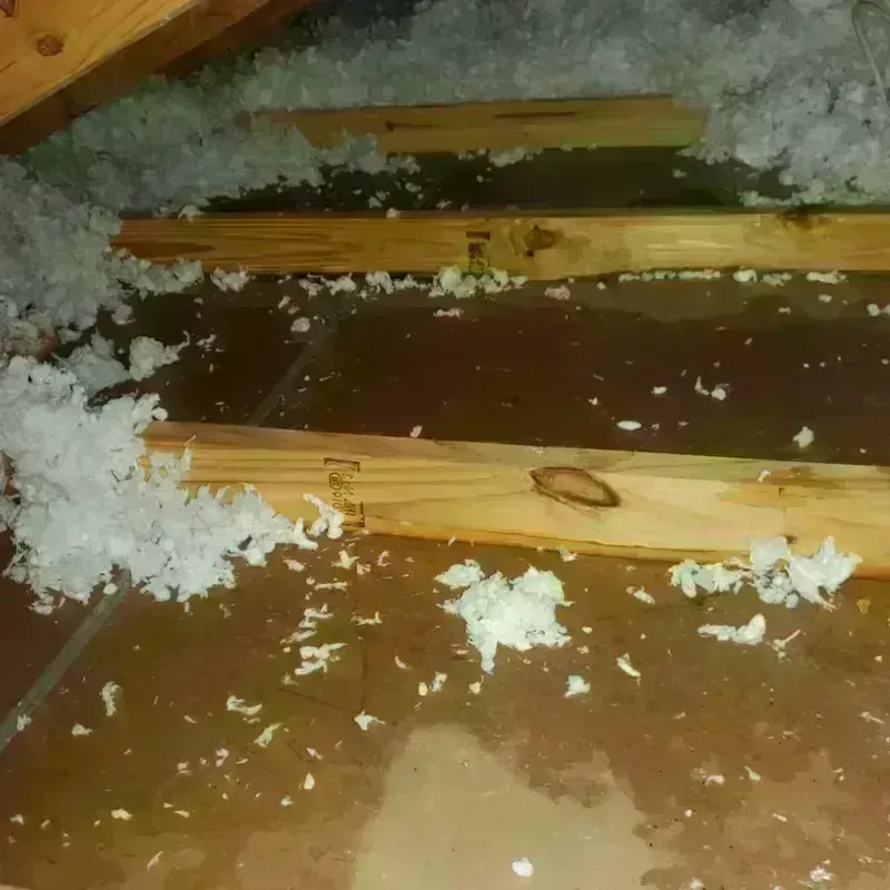 Attic Water Damage in Carson, WA