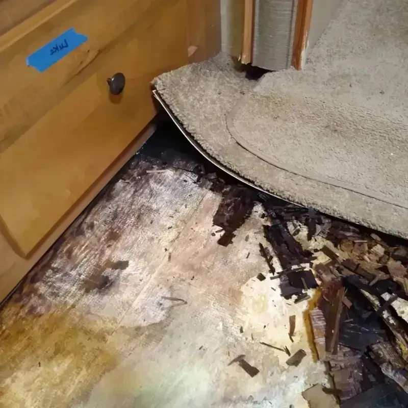 Wood Floor Water Damage in Carson, WA